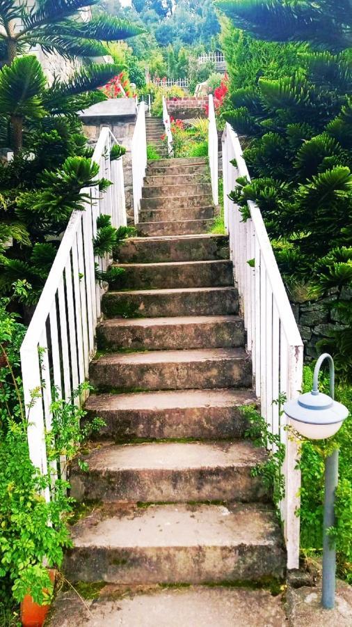 Status Hillpark Hotel Kodaikanal Ngoại thất bức ảnh